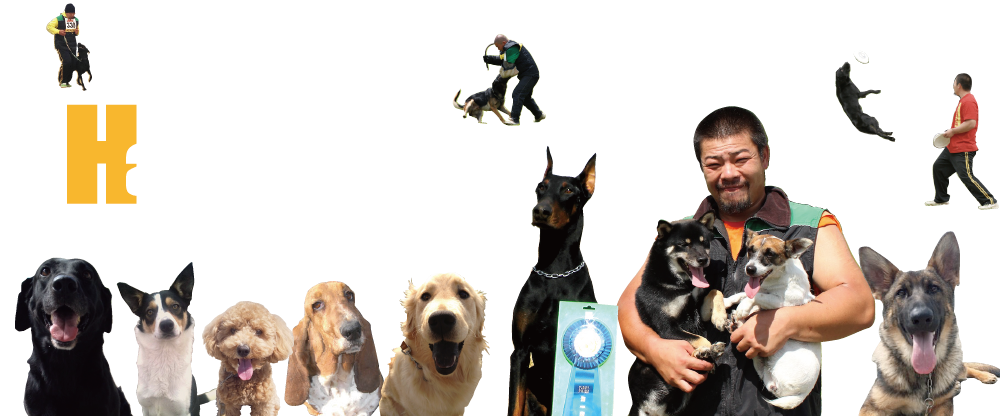 下呂温泉のハッピーフラットトップ画像