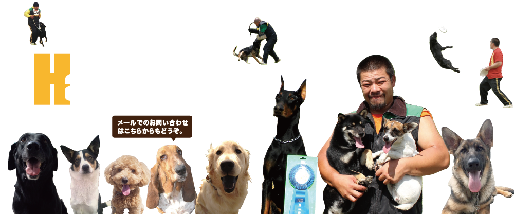 下呂温泉のハッピーフラットトップ画像