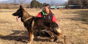 下呂温泉の犬の何でも屋さんハッピーフラットドッグス