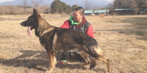 下呂温泉の犬の何でも屋さんハッピーフラットドッグス
