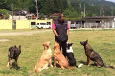 下呂温泉の犬の何でも屋さんハッピーフラット