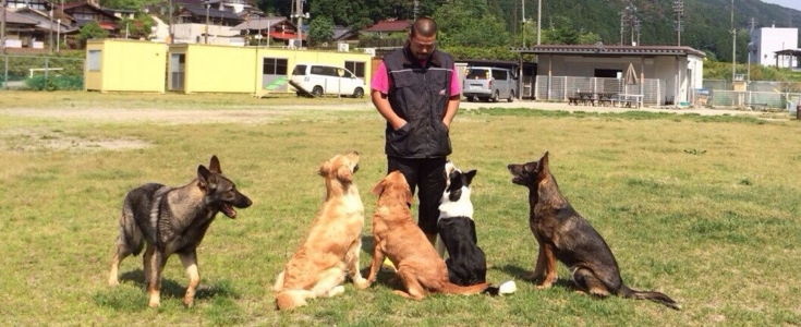 下呂温泉の犬の何でも屋さんハッピーフラット