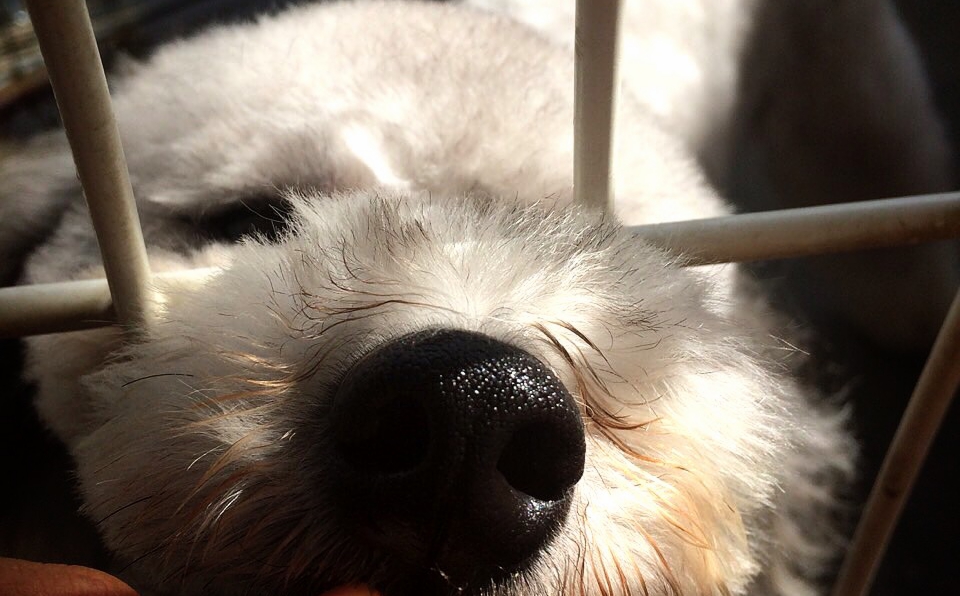 s__4153451.jpg