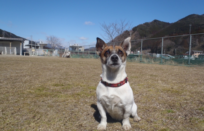 p2220714.jpg