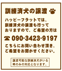 下呂温泉の犬の何でも屋さんハッピーフラット